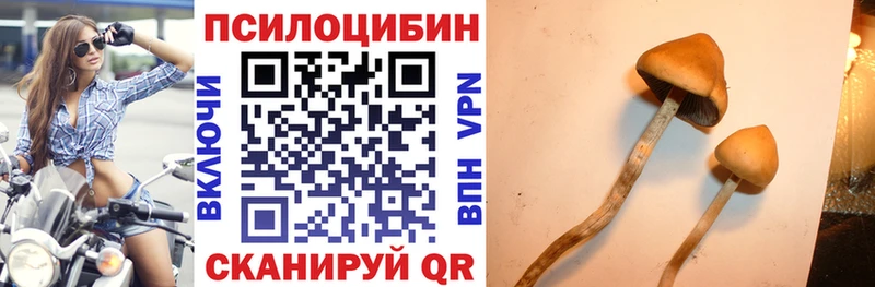 Галлюциногенные грибы GOLDEN TEACHER  Купить где  Серафимович 